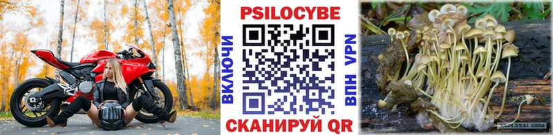 Галлюциногенные грибы мухоморы  Купить где  Истра 